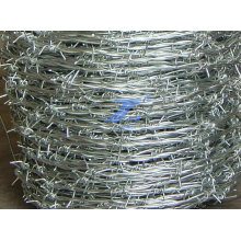 Protection Galvanized Barbed Wrie (factory)